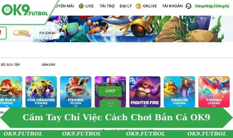 Trải nghiệm săn cá lớn - nhận quà liền tay