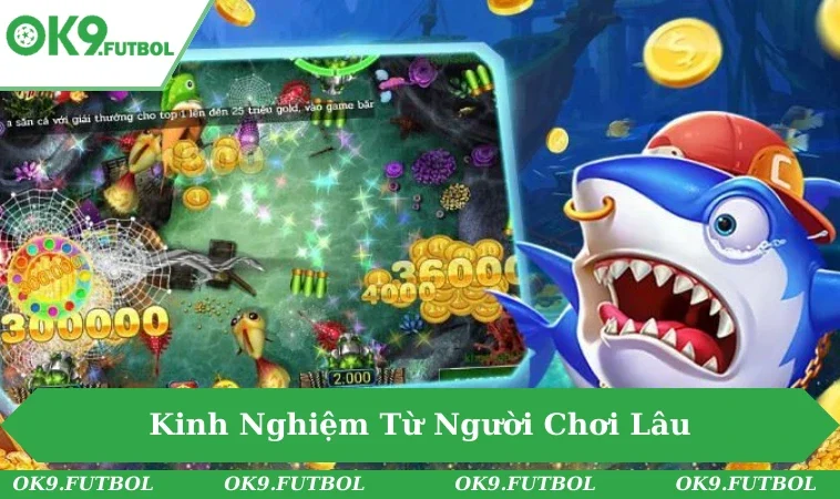 Người chơi tập trung săn cá mập lớn.