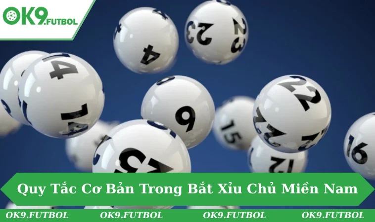 Người chơi miền Nam tập trung quan sát và ghi nhớ quy luật trong thực tế