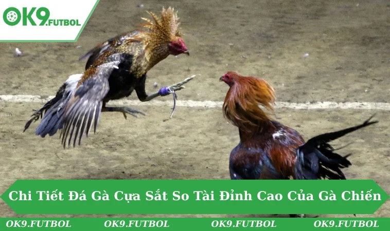 Đá Gà Cựa Sắt