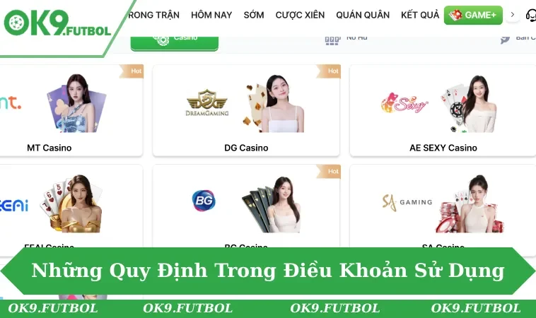 Quy định quan trọng mọi hội viên tại nhà cái uy tín đều biết