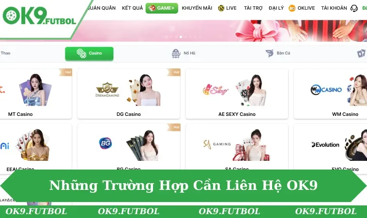 Những trường hợp hội viên cần liên hệ OK9 ngay